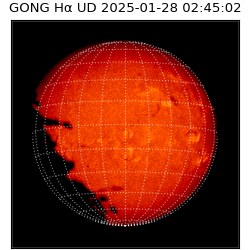 gong - 2025-01-28T02:45:02