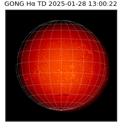 gong - 2025-01-28T13:00:22