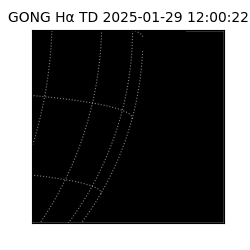 gong - 2025-01-29T12:00:22