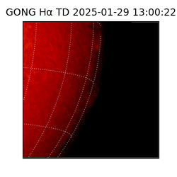 gong - 2025-01-29T13:00:22