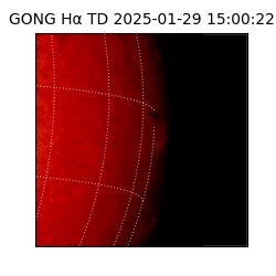 gong - 2025-01-29T15:00:22