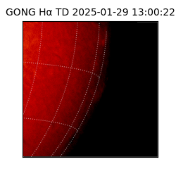 gong - 2025-01-29T13:00:22