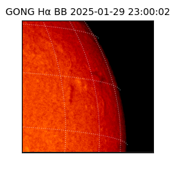 gong - 2025-01-29T23:00:02