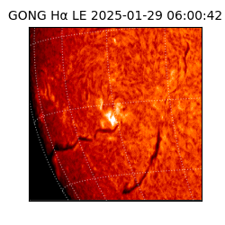 gong - 2025-01-29T06:00:42