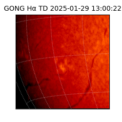 gong - 2025-01-29T13:00:22
