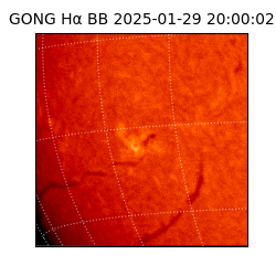 gong - 2025-01-29T20:00:02