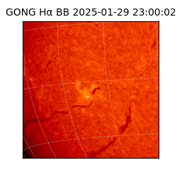 gong - 2025-01-29T23:00:02