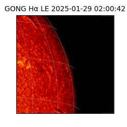 gong - 2025-01-29T02:00:42