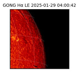 gong - 2025-01-29T04:00:42