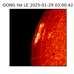 gong - 2025-01-29T03:00:42