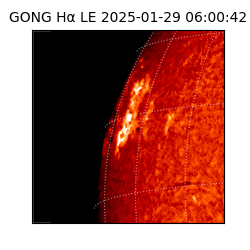 gong - 2025-01-29T06:00:42