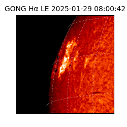 gong - 2025-01-29T08:00:42