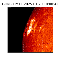 gong - 2025-01-29T10:00:42