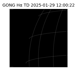 gong - 2025-01-29T12:00:22
