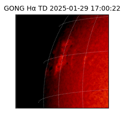 gong - 2025-01-29T17:00:22