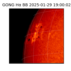 gong - 2025-01-29T19:00:02