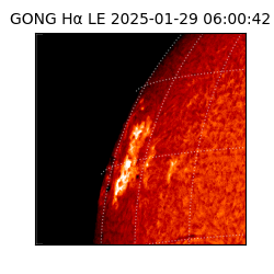 gong - 2025-01-29T06:00:42