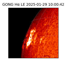 gong - 2025-01-29T10:00:42
