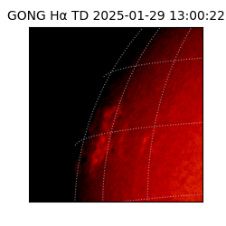 gong - 2025-01-29T13:00:22
