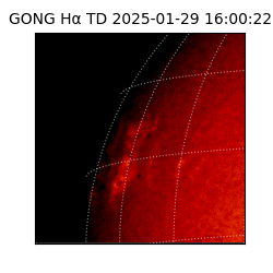 gong - 2025-01-29T16:00:22