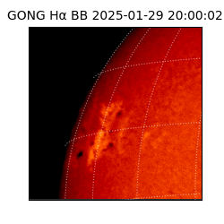 gong - 2025-01-29T20:00:02