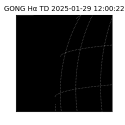 gong - 2025-01-29T12:00:22