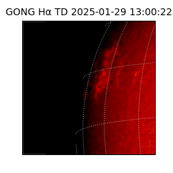 gong - 2025-01-29T13:00:22