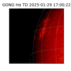 gong - 2025-01-29T17:00:22