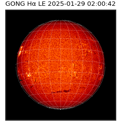 gong - 2025-01-29T02:00:42