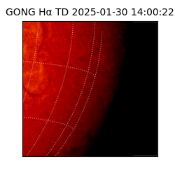 gong - 2025-01-30T14:00:22