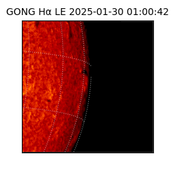 gong - 2025-01-30T01:00:42