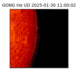 gong - 2025-01-30T11:00:02