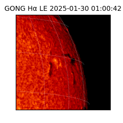 gong - 2025-01-30T01:00:42