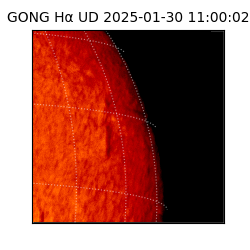 gong - 2025-01-30T11:00:02