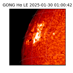 gong - 2025-01-30T01:00:42