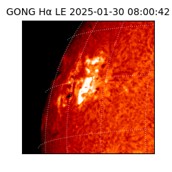gong - 2025-01-30T08:00:42