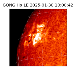 gong - 2025-01-30T10:00:42
