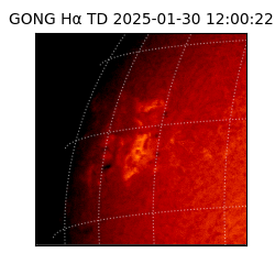 gong - 2025-01-30T12:00:22