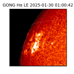 gong - 2025-01-30T01:00:42