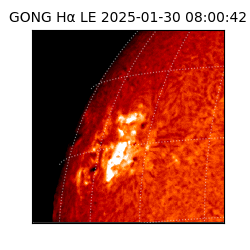 gong - 2025-01-30T08:00:42