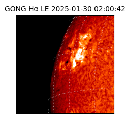 gong - 2025-01-30T02:00:42