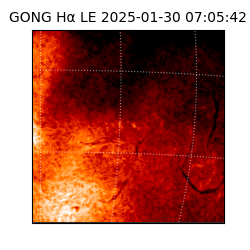 gong - 2025-01-30T07:05:42
