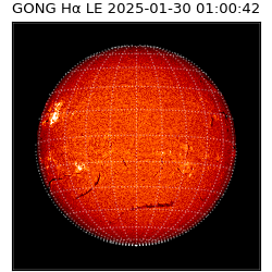 gong - 2025-01-30T01:00:42