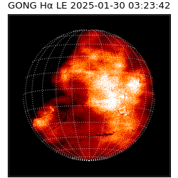 gong - 2025-01-30T03:23:42