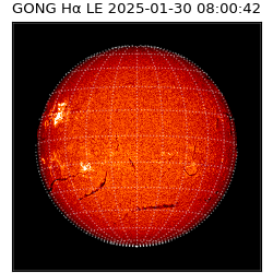 gong - 2025-01-30T08:00:42