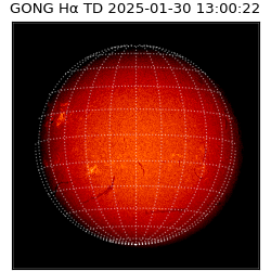 gong - 2025-01-30T13:00:22