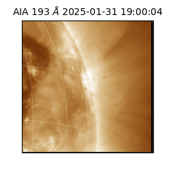 saia - 2025-01-31T19:00:04.843000