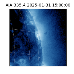 saia - 2025-01-31T15:00:00.625000