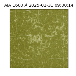 saia - 2025-01-31T09:00:14.126000