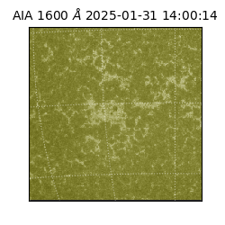 saia - 2025-01-31T14:00:14.126000